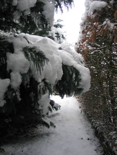 Path, what path? 1